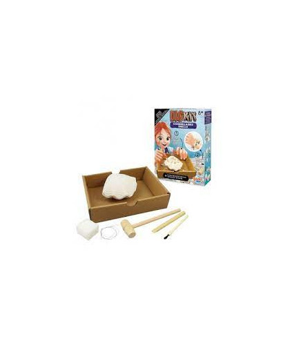 DIGKIT COQUILLAGE