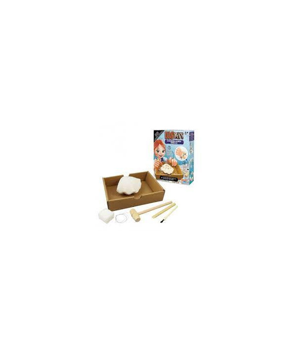 DIGKIT COQUILLAGE