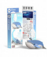 ANIMAL MARIN - BALEINE BLEUE
