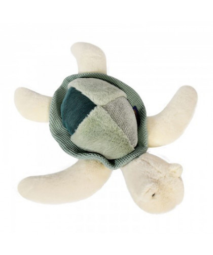 TRESORS MARINS - TORTUE DE MER