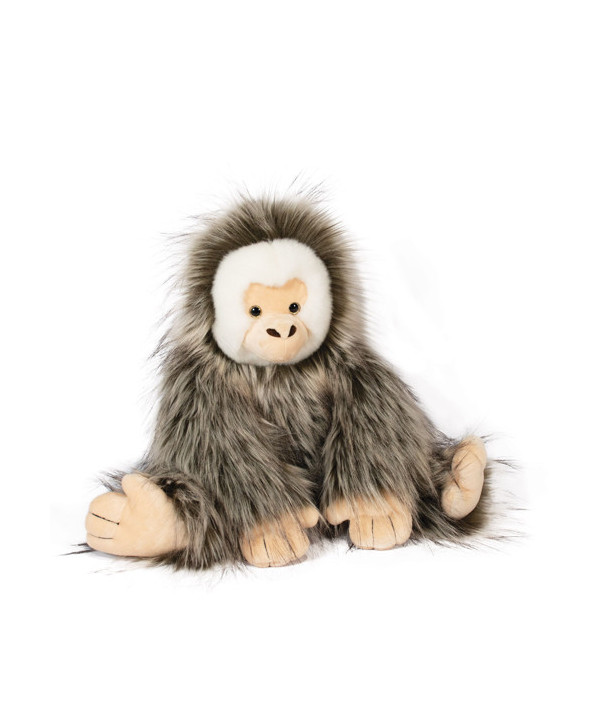 CAPUCIN  LE SINGE