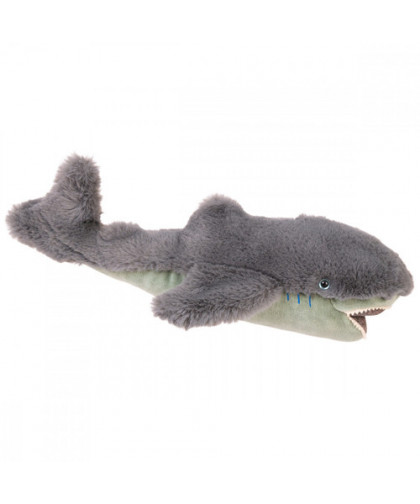 PETIT REQUIN TOUT AUTOUR DU MONDE