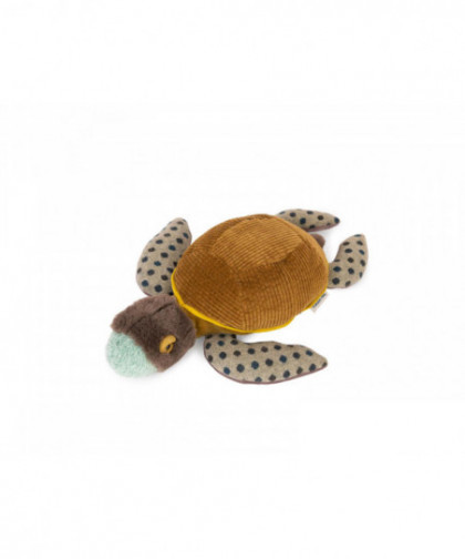 PETITE TORTUE - TOUT AUTOUR DU MONDE