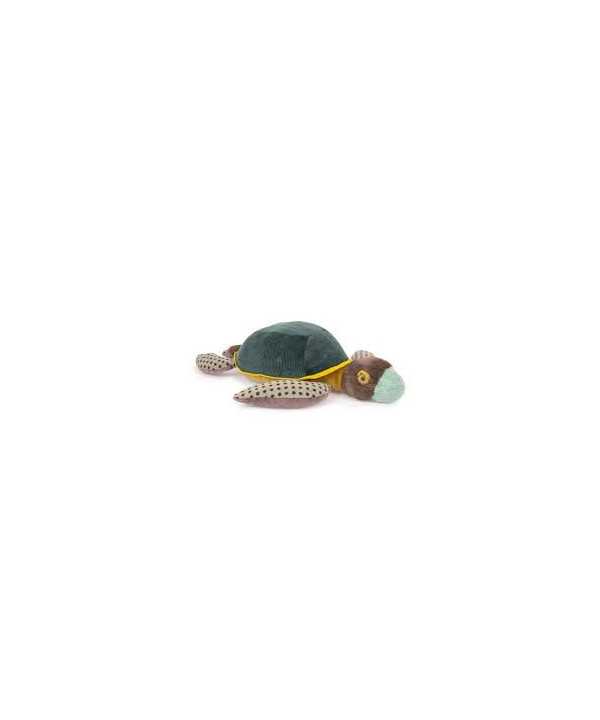GRANDE TORTUE - TOUT AUTOUR DU MONDE