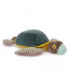 GRANDE TORTUE - TOUT AUTOUR DU MONDE