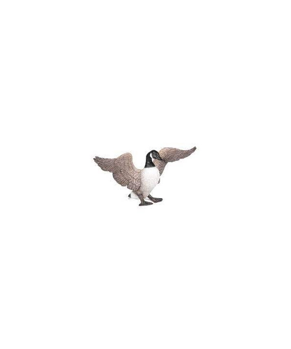 LA VIE SAUVAGE - OIE BERNACHE