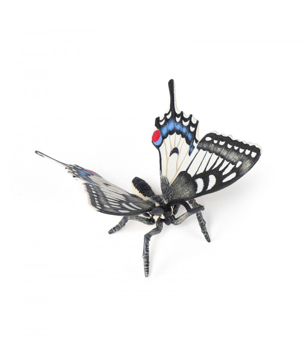 LES ANIMAUX DES JARDINS - PAPILLON MACHAON