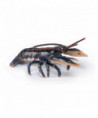 L'UNIVERS MARIN - HOMARD