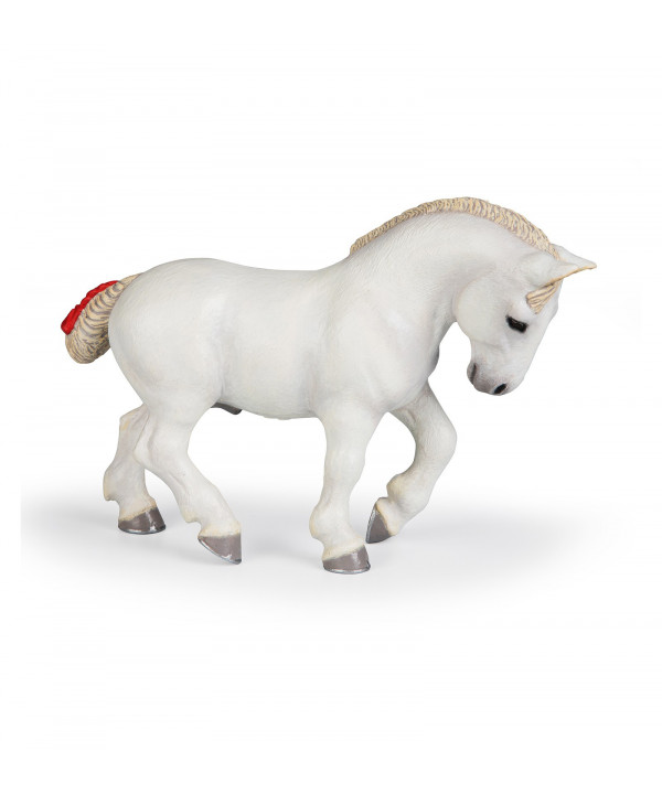 CHEVAUX - POULAINS ET PONEYS - PERCHERON BLANC