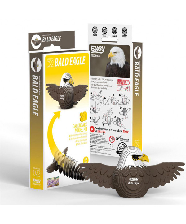 OISEAU - AIGLE