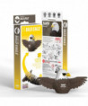 OISEAU - AIGLE