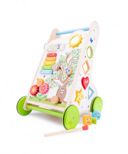 ACTIVITY WALKER