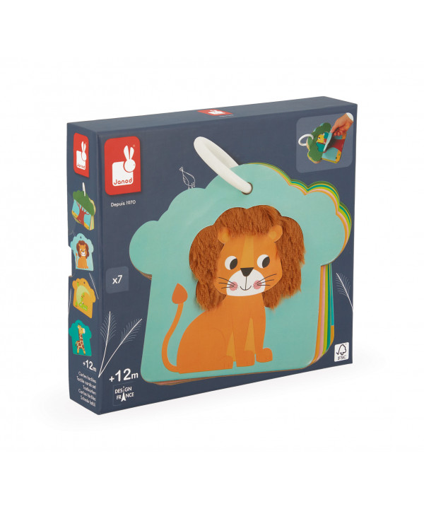 CARTES TACTILES SAVANE