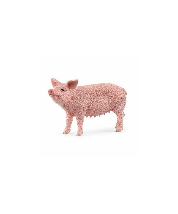 FARM WORLD - COCHON