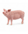 FARM WORLD - COCHON