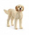 FARM WORLD - CHIEN GOLDENDOODLE