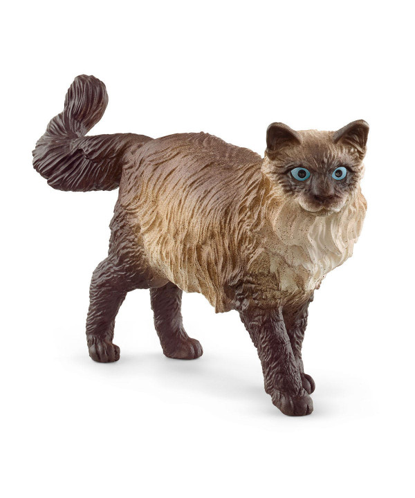 FARM WORLD - CHAT RAGDOLL