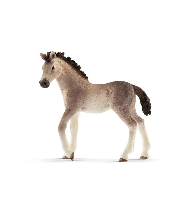 HORSE CLUB - POULAIN ANDALOU