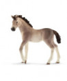 HORSE CLUB - POULAIN ANDALOU