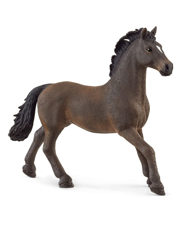 HORSE CLUB - ÉTALON OLDENBOURG