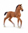 HORSE CLUB - POULAIN OLDENBOURG
