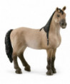 HORSE CLUB - JUMENT CRIOLLO DEFINITIVO