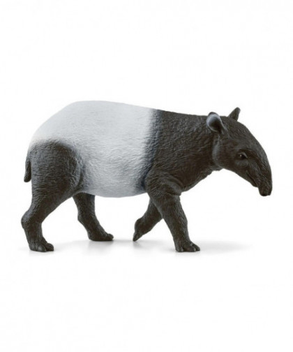 WILD LIFE - TAPIR
