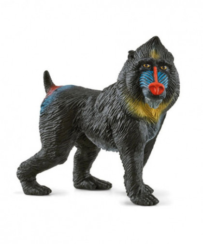 WILD LIFE - MANDRILL