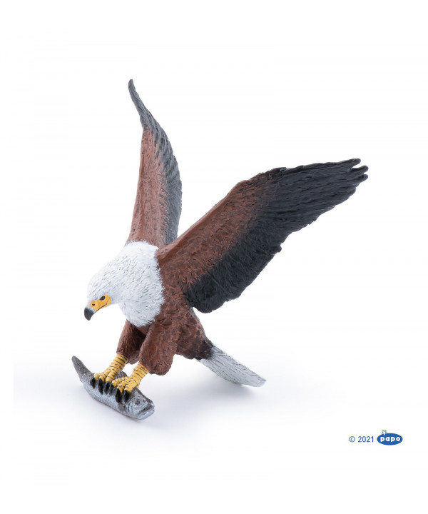 LA VIE SAUVAGE - AIGLE PÊCHEUR D'AFRIQUE