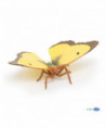 LES ANIMAUX DES JARDINS - PAPILLON SOUCI