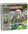 TERRA KIDS - CONNECTORS - KIT DE BASE II