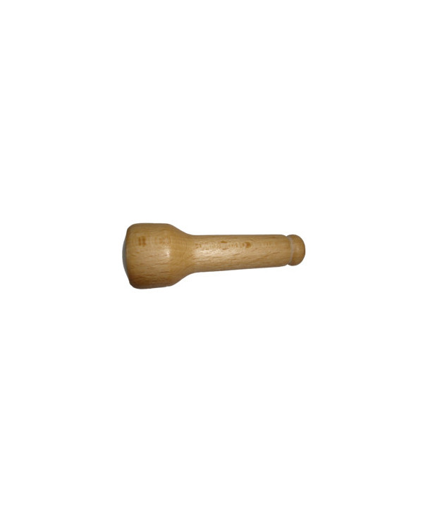APPEAU GRIVE MUSICIENNE