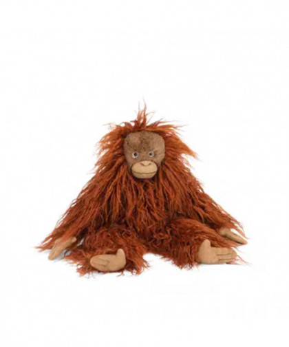 PETIT ORANG-OUTAN - TOUT AUTOUR DU MONDE