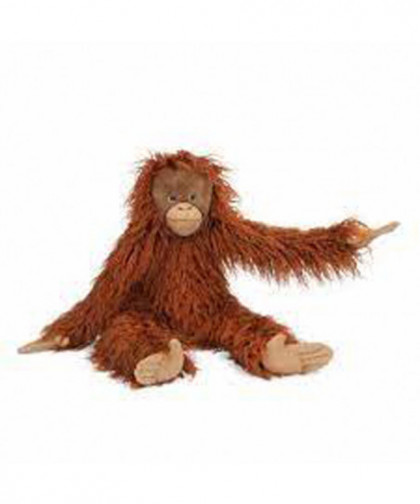 GRAND ORANG-OUTAN - TOUT AUTOUR DU MONDE