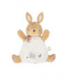 PETITES CHANSONS - DOUDOU MARIONNETTE LAPIN