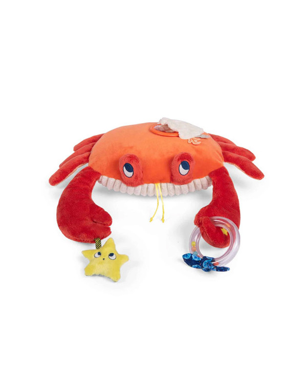 GRAND CRABE D'ACTIVITÉS LES AVENTURES DE PAULIE
