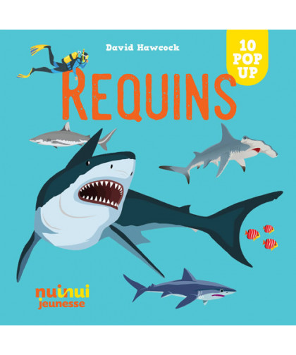 SAISISSANTS POP-UP REQUINS