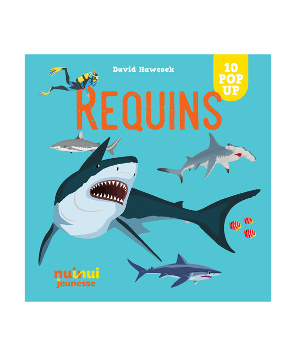 SAISISSANTS POP-UP REQUINS