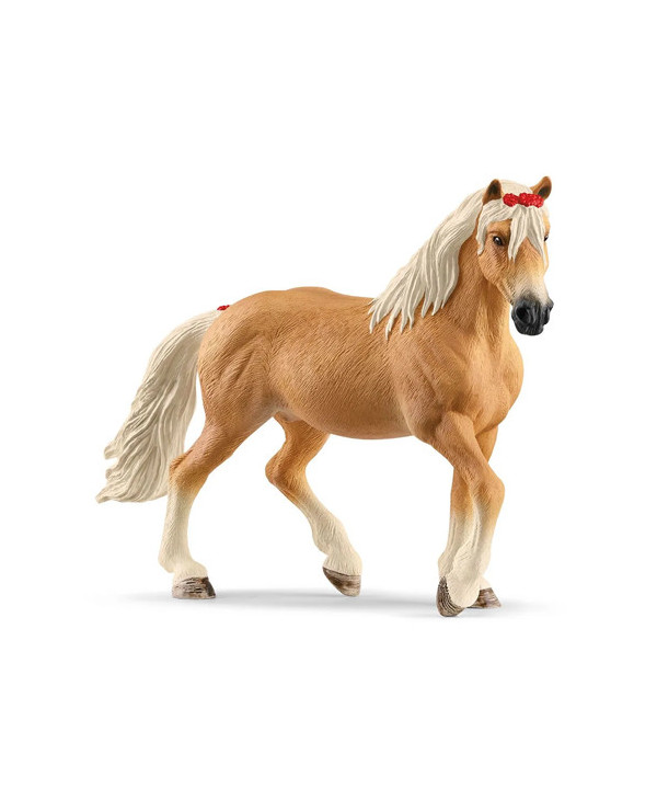 HORSE CLUB - JUMENT HAFLINGER