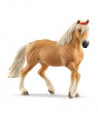 HORSE CLUB - JUMENT HAFLINGER