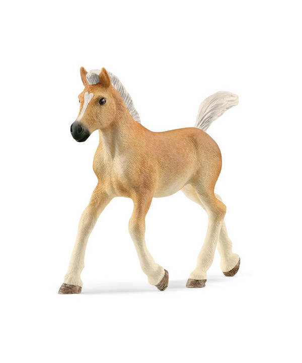 HORSE CLUB - POULAIN HAFLINGER
