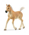 HORSE CLUB - POULAIN HAFLINGER