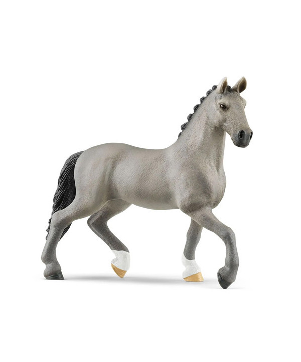 HORSE CLUB - ÉTALON SELLE FRANÇAIS