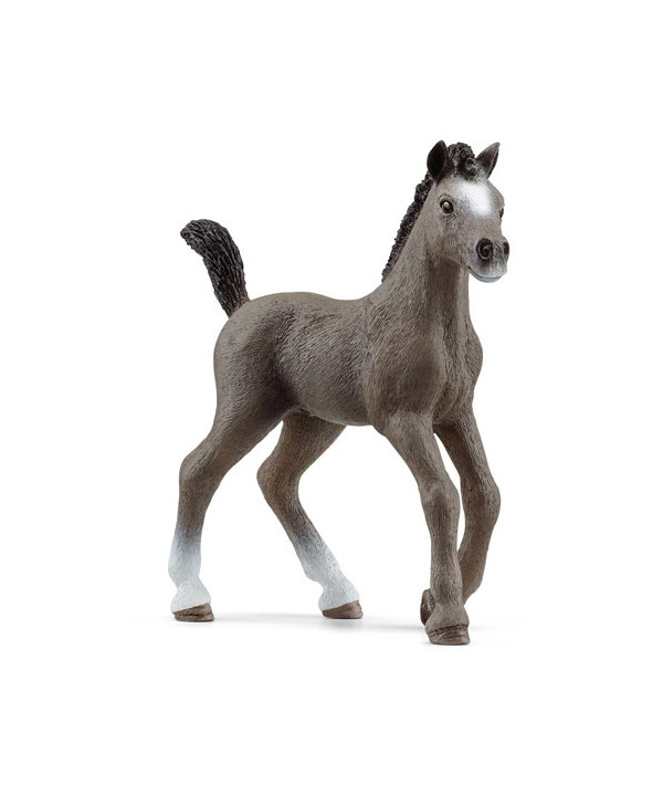 HORSE CLUB - POULAIN SELLE FRANÇAIS