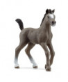 HORSE CLUB - POULAIN SELLE FRANÇAIS