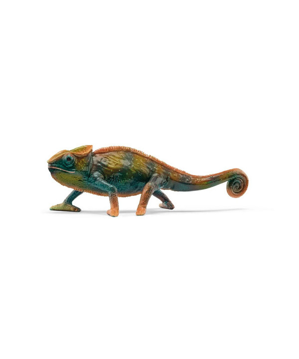 WILD LIFE - CAMÉLÉON