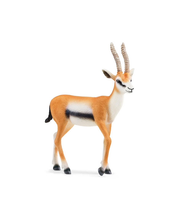 WILD LIFE - GAZELLE DE THOMSON