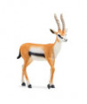 WILD LIFE - GAZELLE DE THOMSON