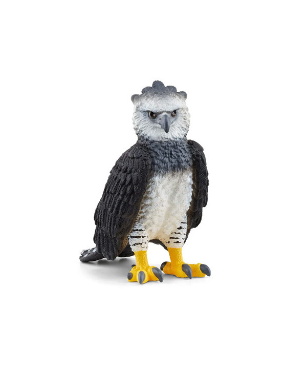 WILD LIFE - HARPIE FÉROCE