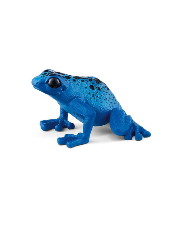 WILD LIFE - DENDROBATE À TAPIRER